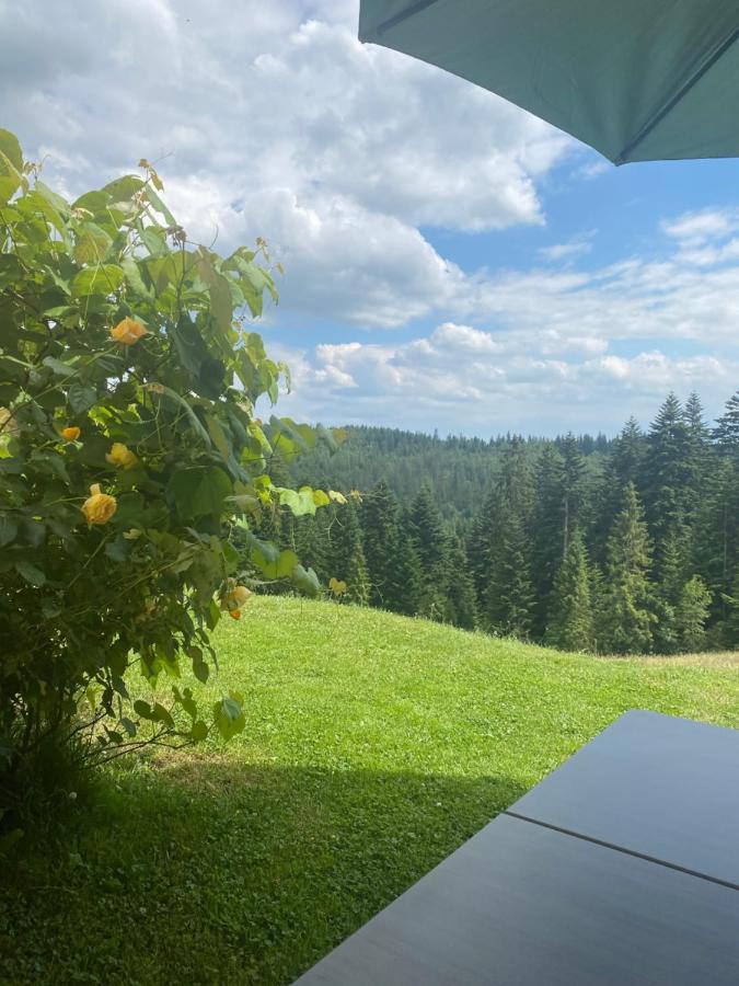 Apartament W Gorach Gorce Nowy Targ Exterior foto